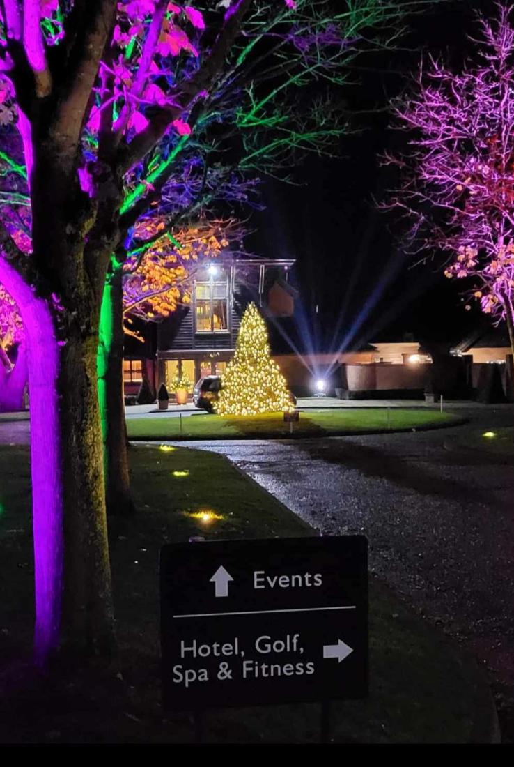 Uplights and Christmas Tree Barnham Broom