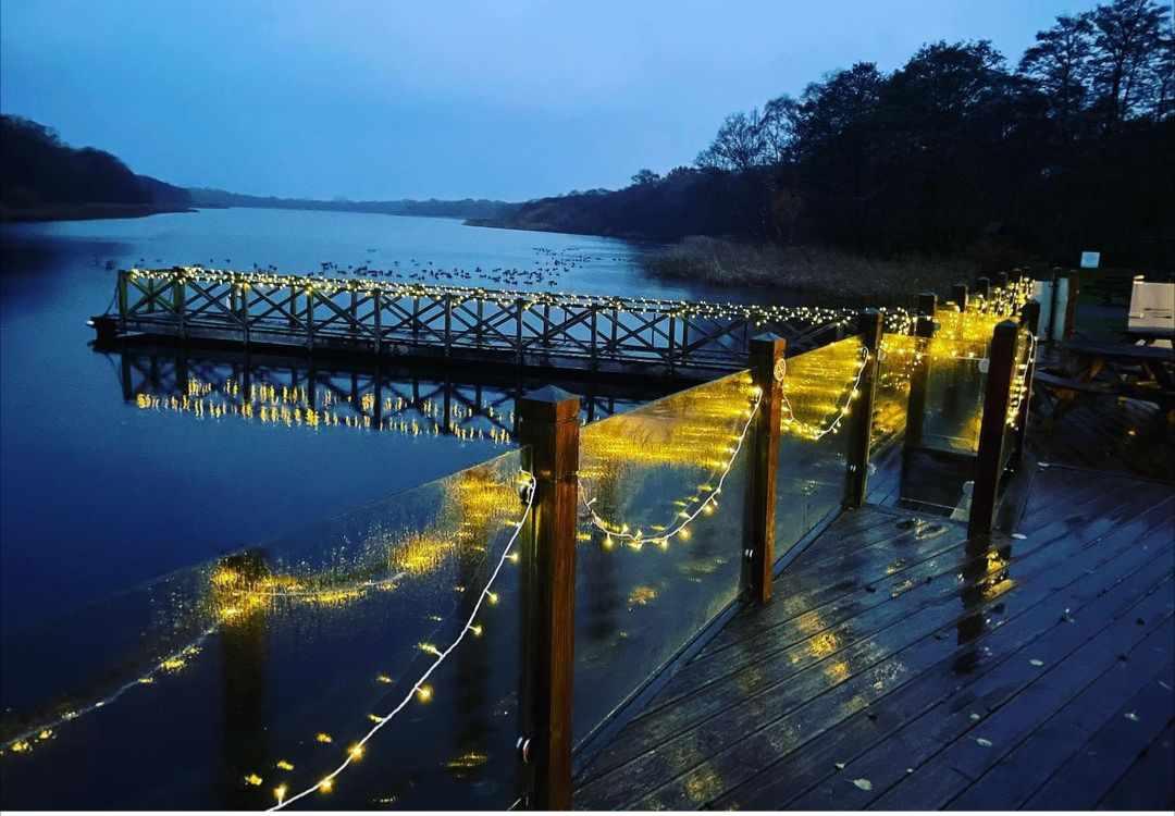 Fairy Lighting outside The Boathouse Ormesby